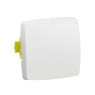 Interrupteur bipolaire 10A - 250V blanc RAL 9010 Oteo 086103L Legrand