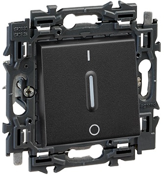 Interrupteur bipolaire 10A bornes auto support à griffes Valena Next noir Legrand