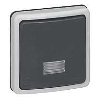 Bouton-poussoir simple NO 6A à voyant Plexo 66 Legrand