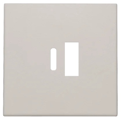 Set de finition prise double USB-A et USB-C Original Light Grey Niko