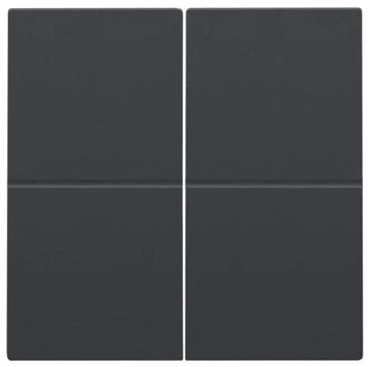 Clé double, pour variateur sans fil (Hue®, Bluetooth®, EnOcean®, KNX®), couleur Intense Anthracite Niko