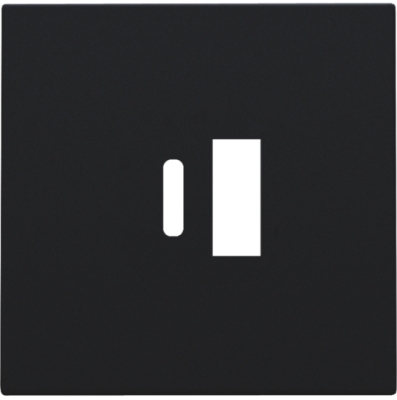 Set de finition prise double USB-A et USB-C black coated Niko