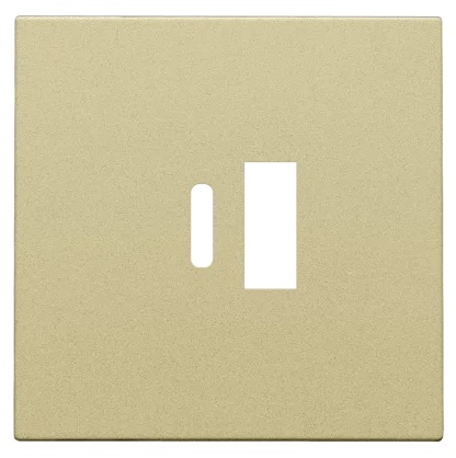 Set de finition prise double USB-A et USB-C Pure gold coated Niko