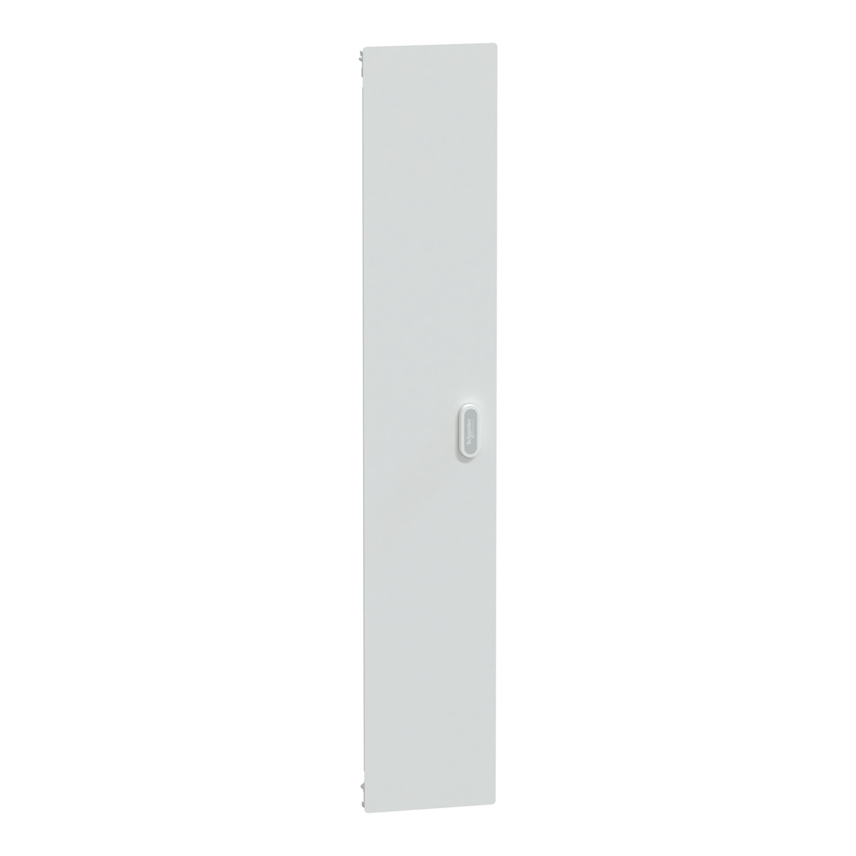 Porte pleine côté gaine pour coffret apparent 8x24 modules avec gaine PrismaSeT S LVSSDD8 Schneider Electric 