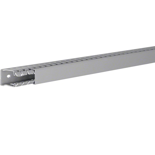 Goulotte de câblage grise avec couvercle L= 25 x H= 40mm BA740025G Tehalit (au mètre)